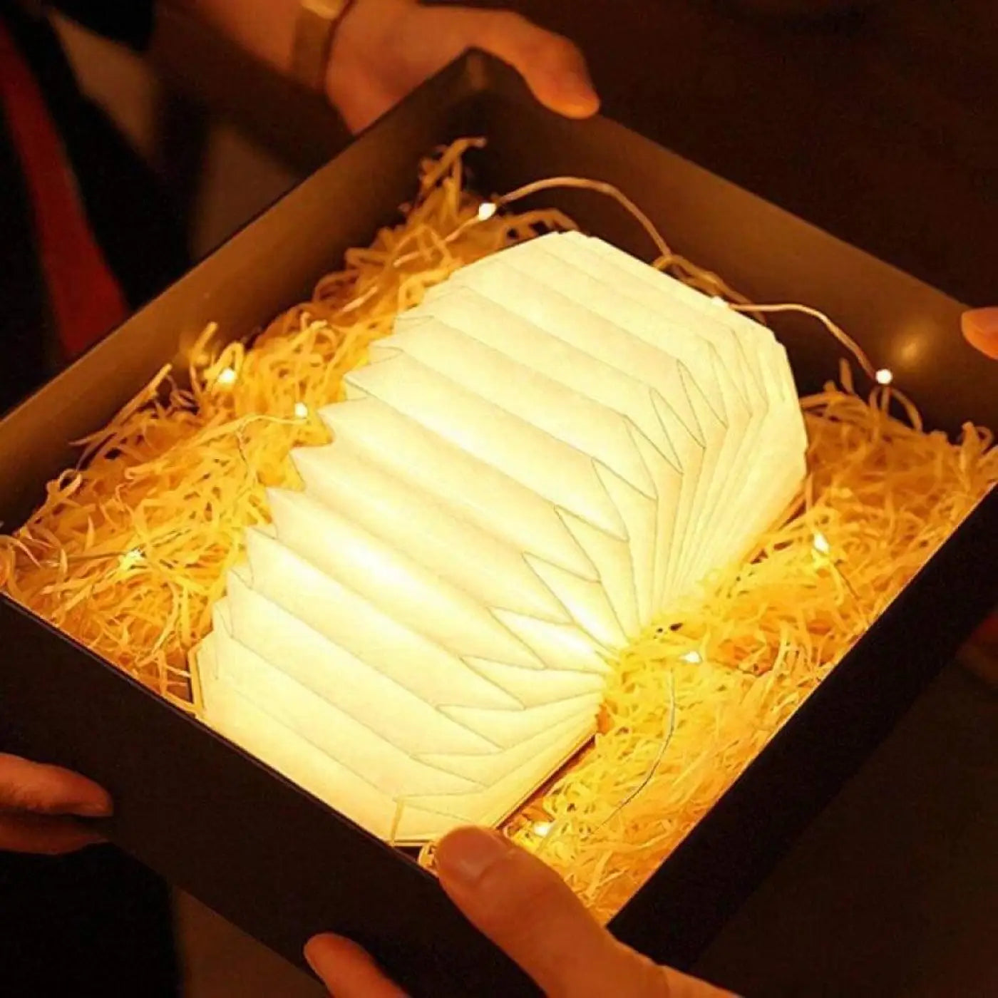 Lampe de Chevet - Accordeon