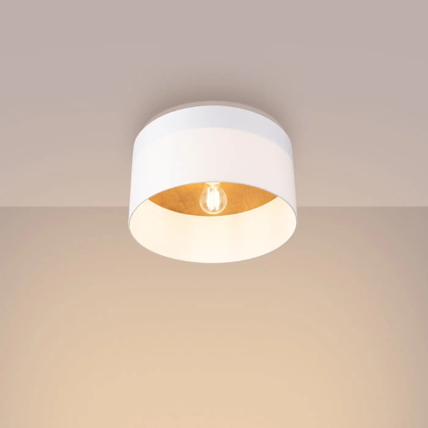 Luminaire Plafonnier Scandinave - Telesto (Blanc / Marron Clair)