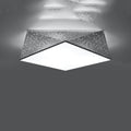 Luminaire Plafonnier en Verre - Hexa 45 (Argent)