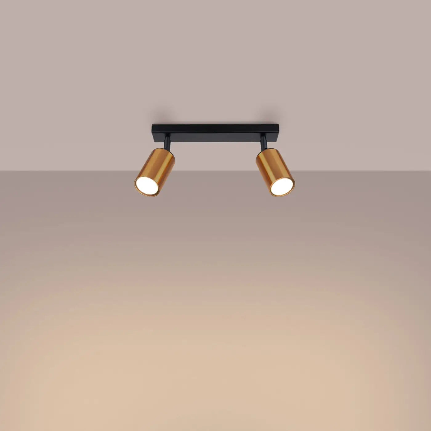 Luminaire Plafonnier Design - Winx 2 (Noir/Cooper)