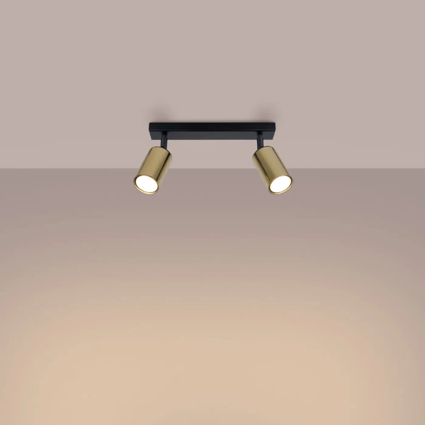 Luminaire Plafonnier Design - Winx 2 (Noir/Doré)