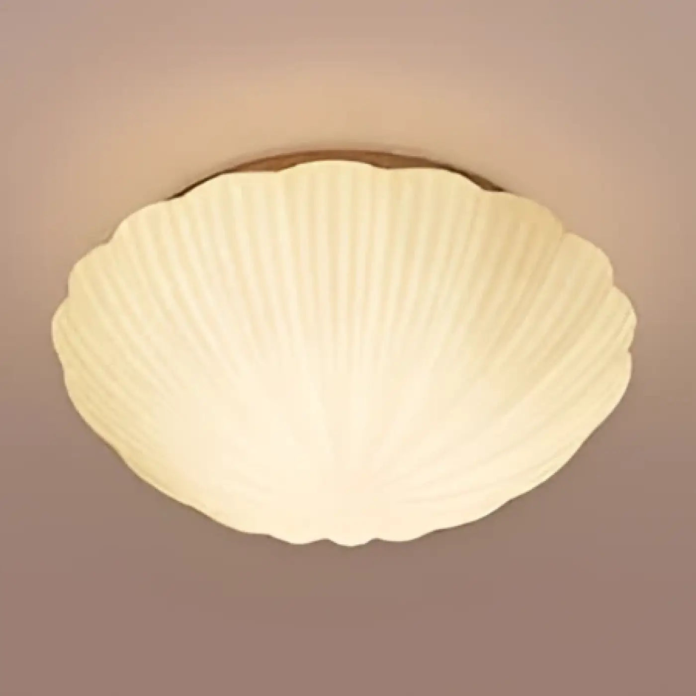 Luminaire Plafonnier - Concha