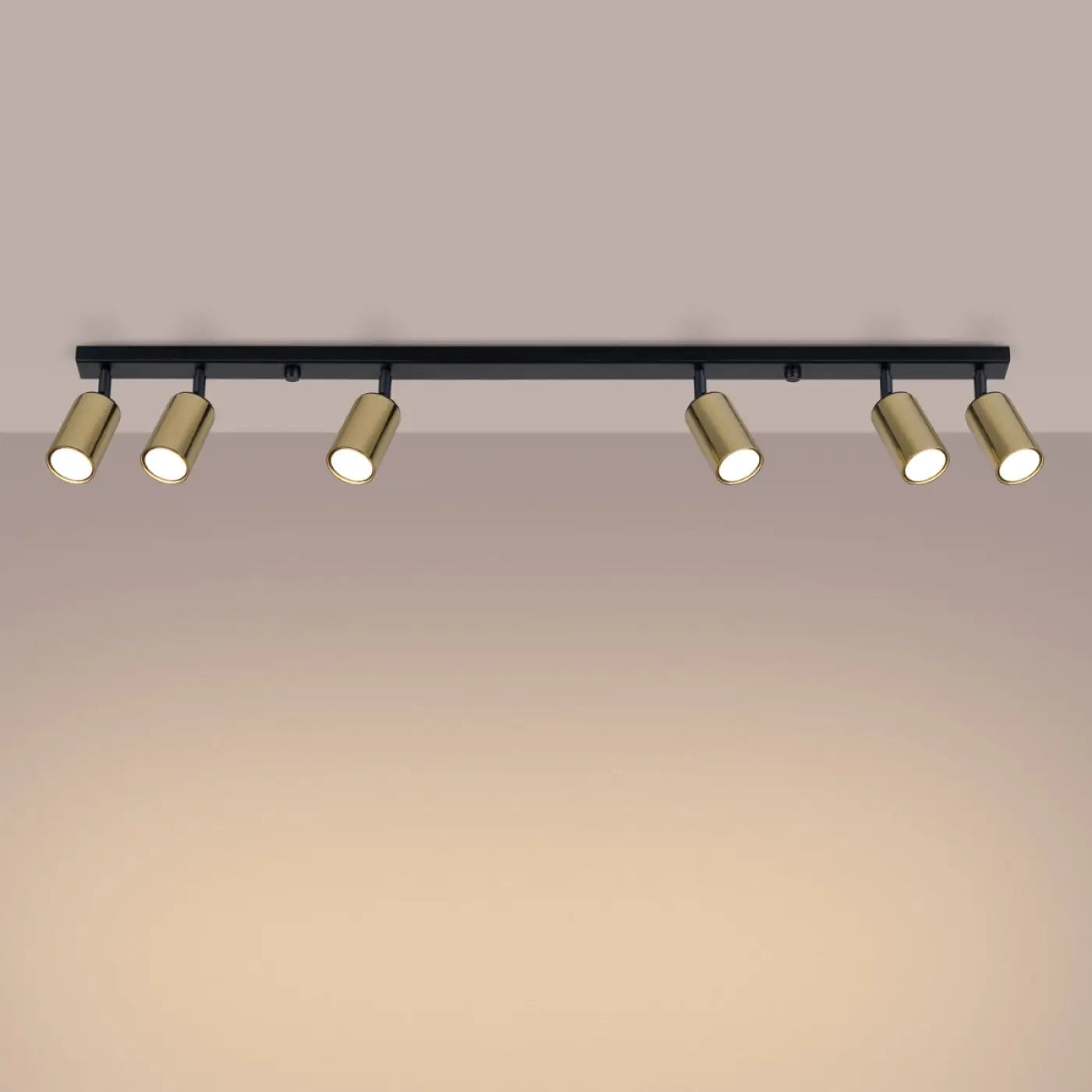Luminaire Plafonnier Moderne - Winx 6L (Noir/Doré)