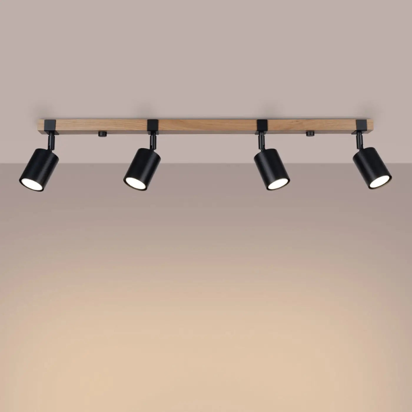 Luminaire Plafonnier - Fager 4L (Noir)