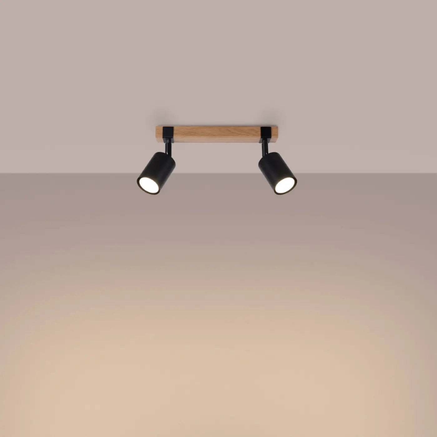 Luminaire Plafonnier Design - Fager 2 (Noir)