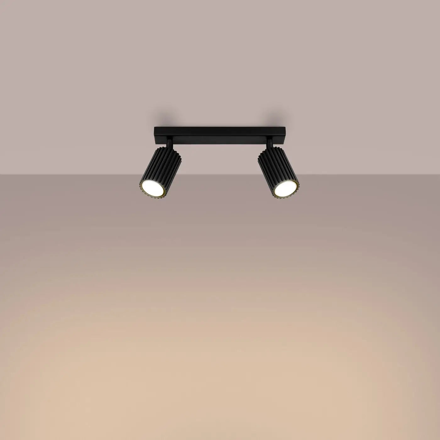 Luminaire Plafonnier - Karbon 2 (Noir)