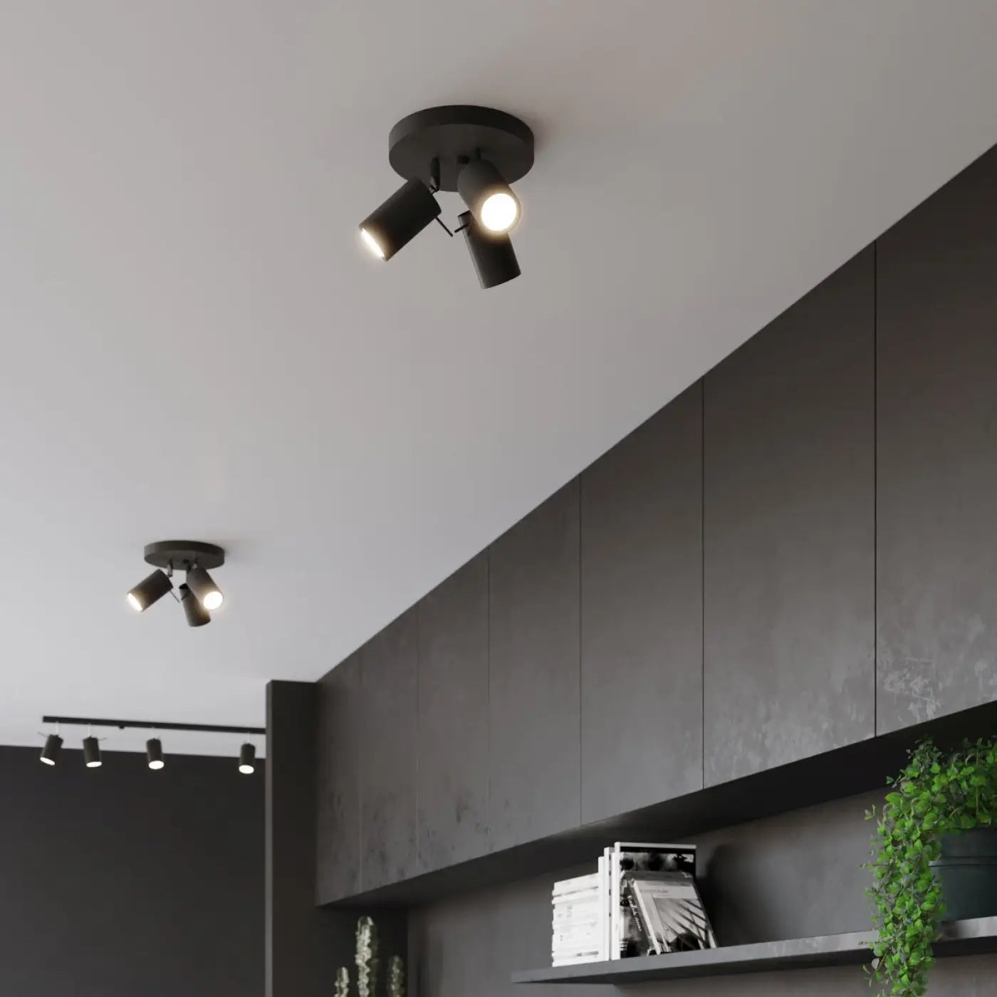 Luminaire Plafonnier - Ring 3P (Noir)