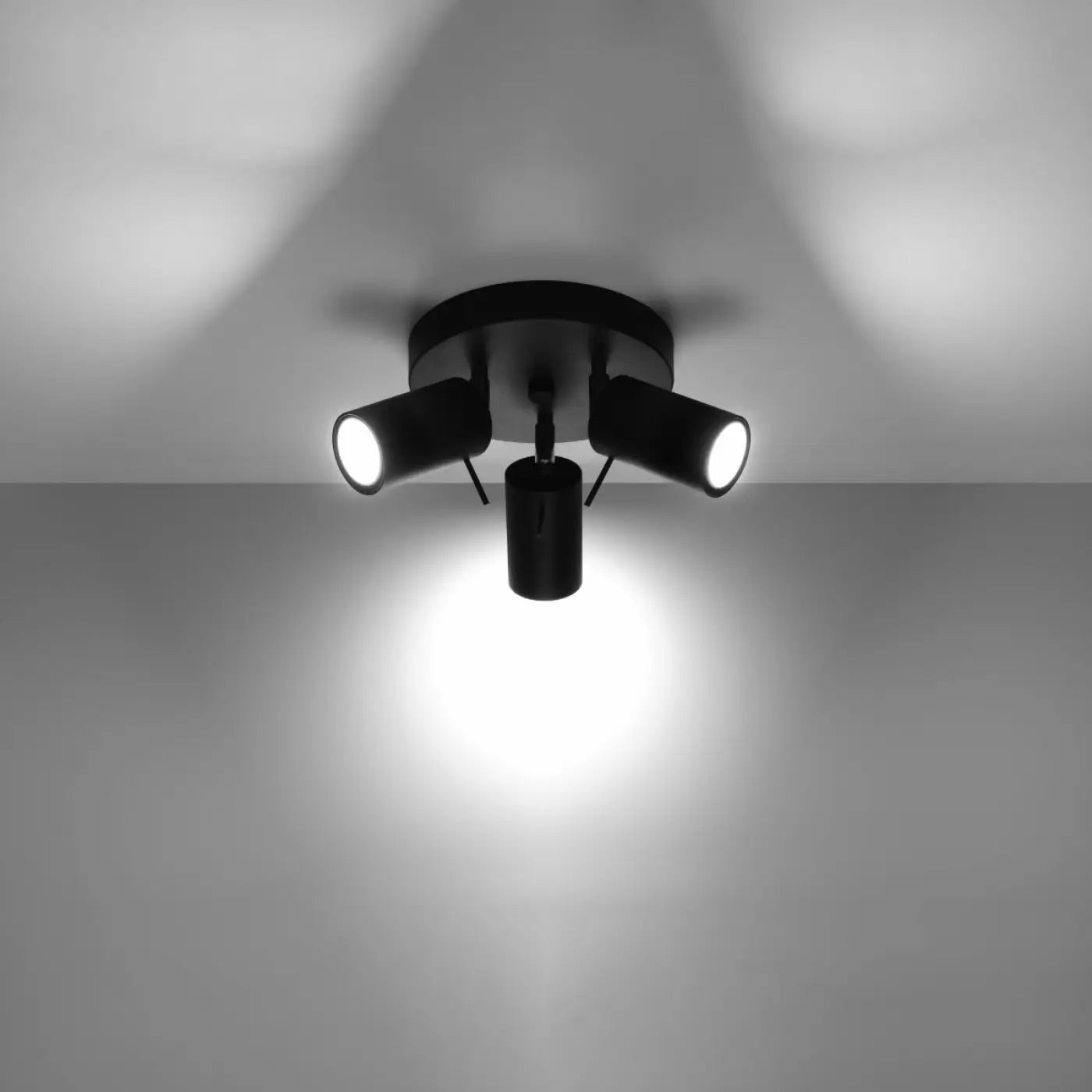 Luminaire Plafonnier - Ring 3P (Noir)