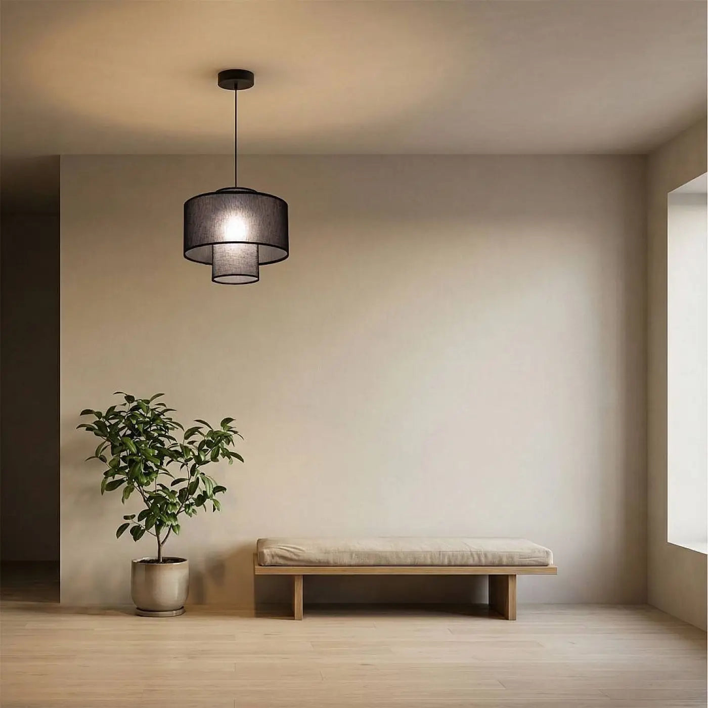 Suspension Luminaire Elegant - Twin (Noir)