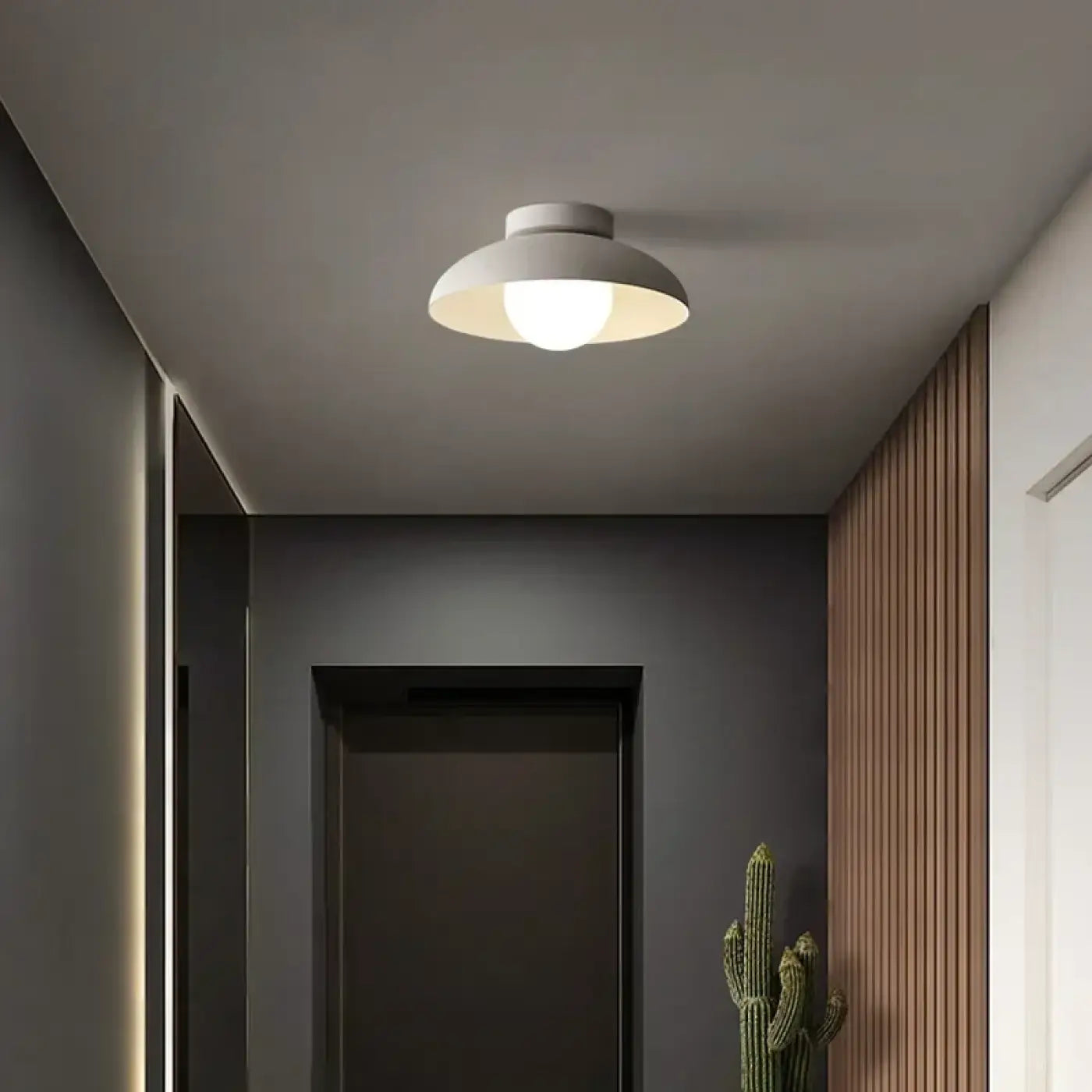 Luminaire Plafonnier - Eva