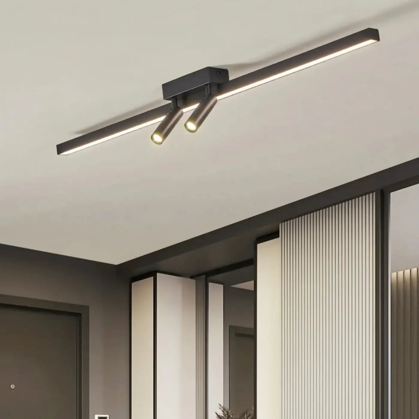 Luminaire Plafonnier Design - Double