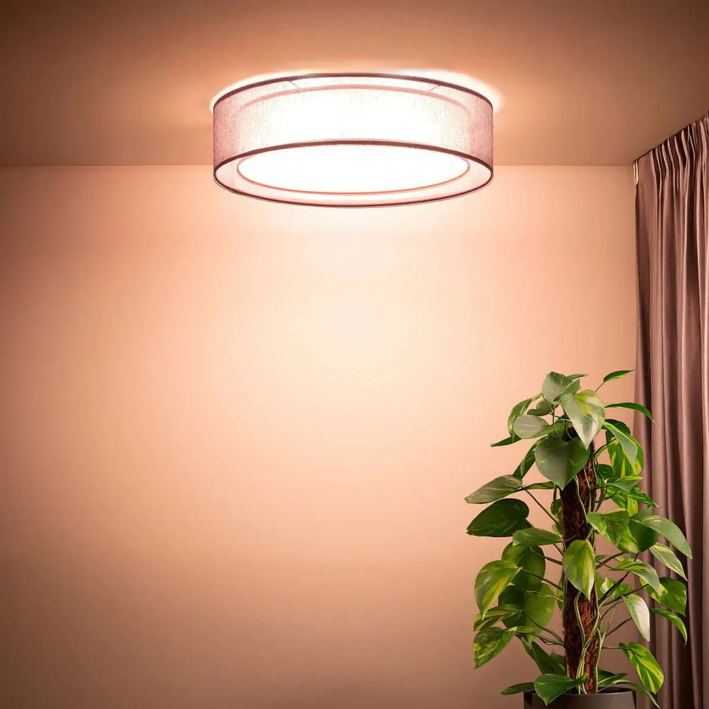 Luminaire Plafonnier Design - Puro (Violet)