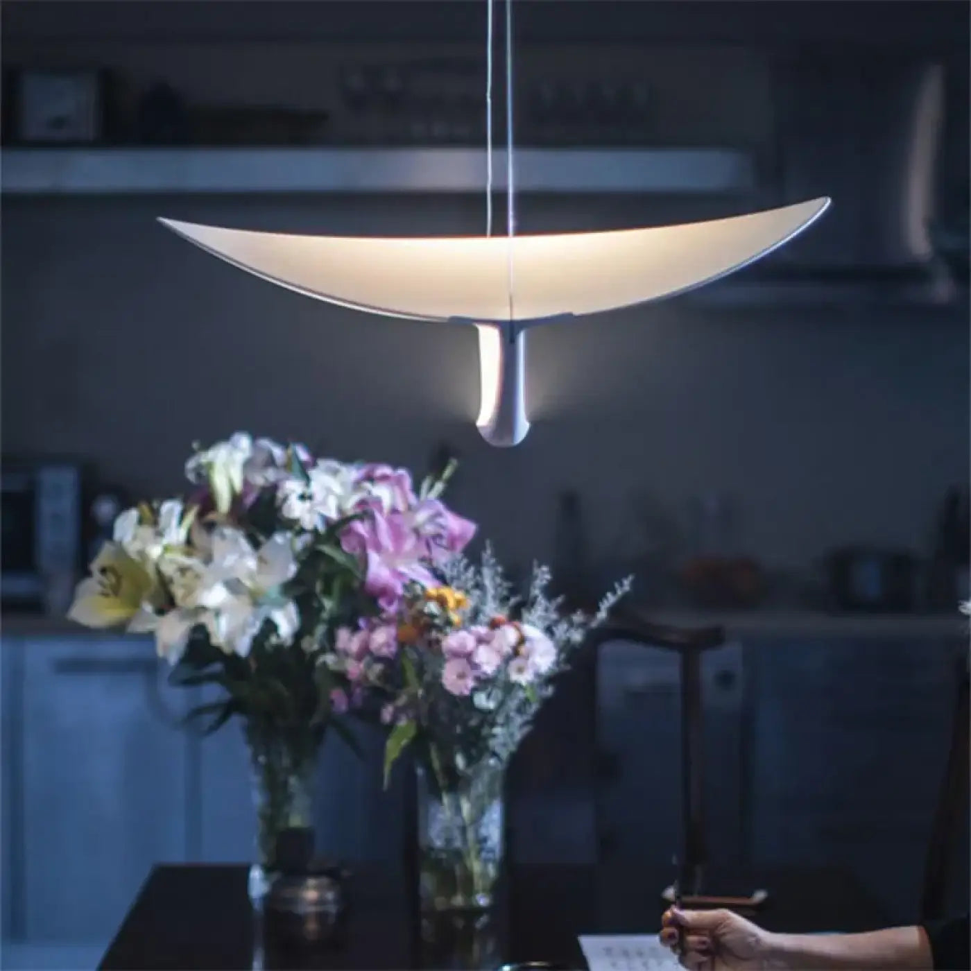 Suspension Luminaire Moderne - Picam