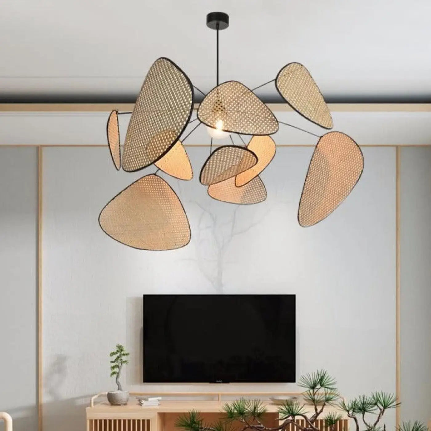 Suspension Luminaire - Cannage