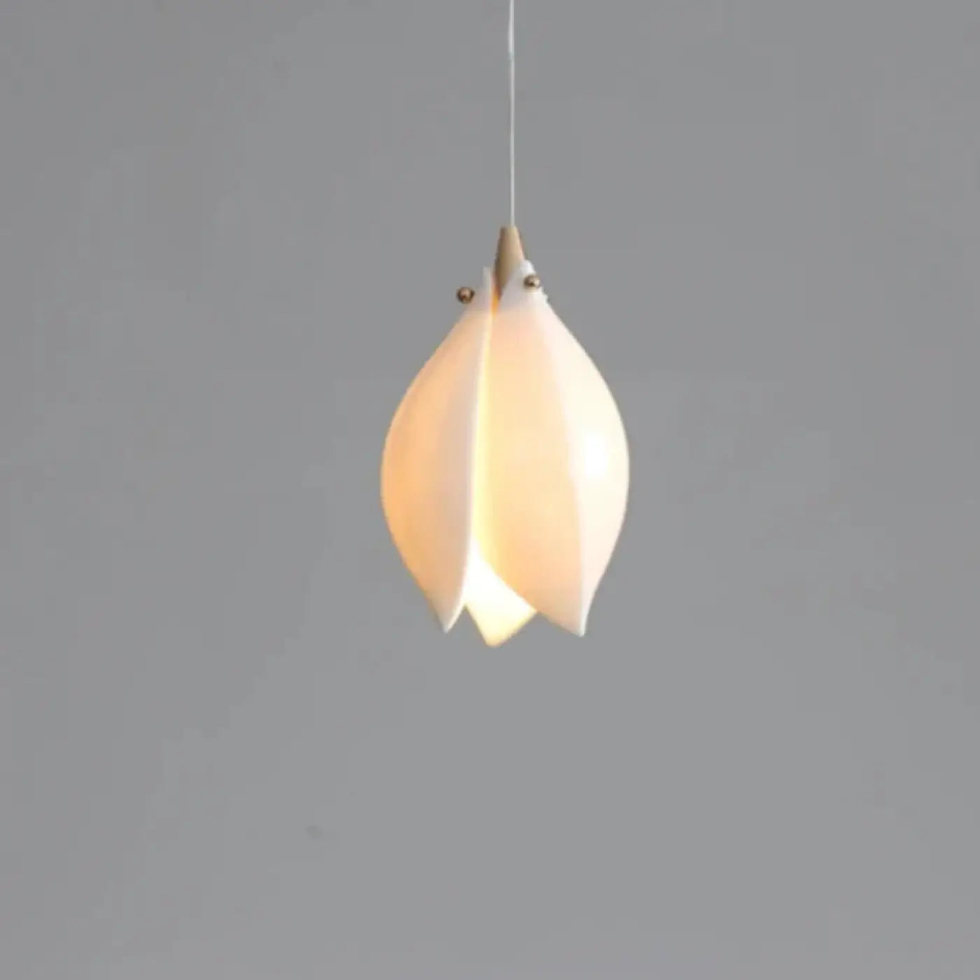 Suspension Luminaire Design - Feuble