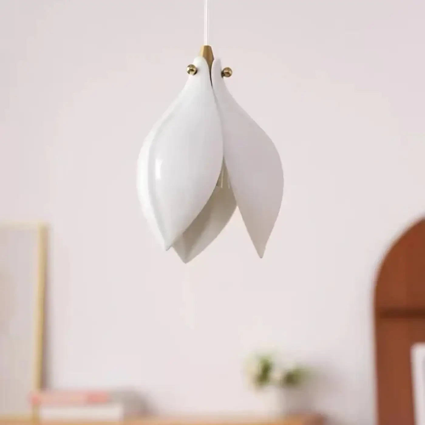 Suspension Luminaire Design - Feuble