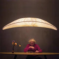 Suspension Luminaire Design - Fedu