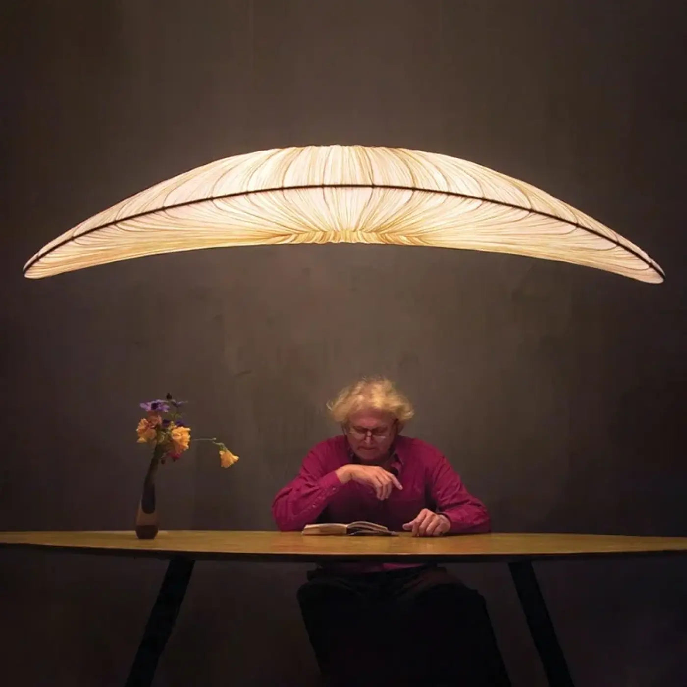 Suspension Luminaire Design - Luda
