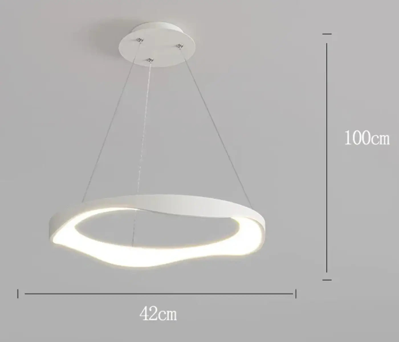 Suspension Luminaire - Specicat