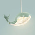 Suspension Luminaire - Aquara