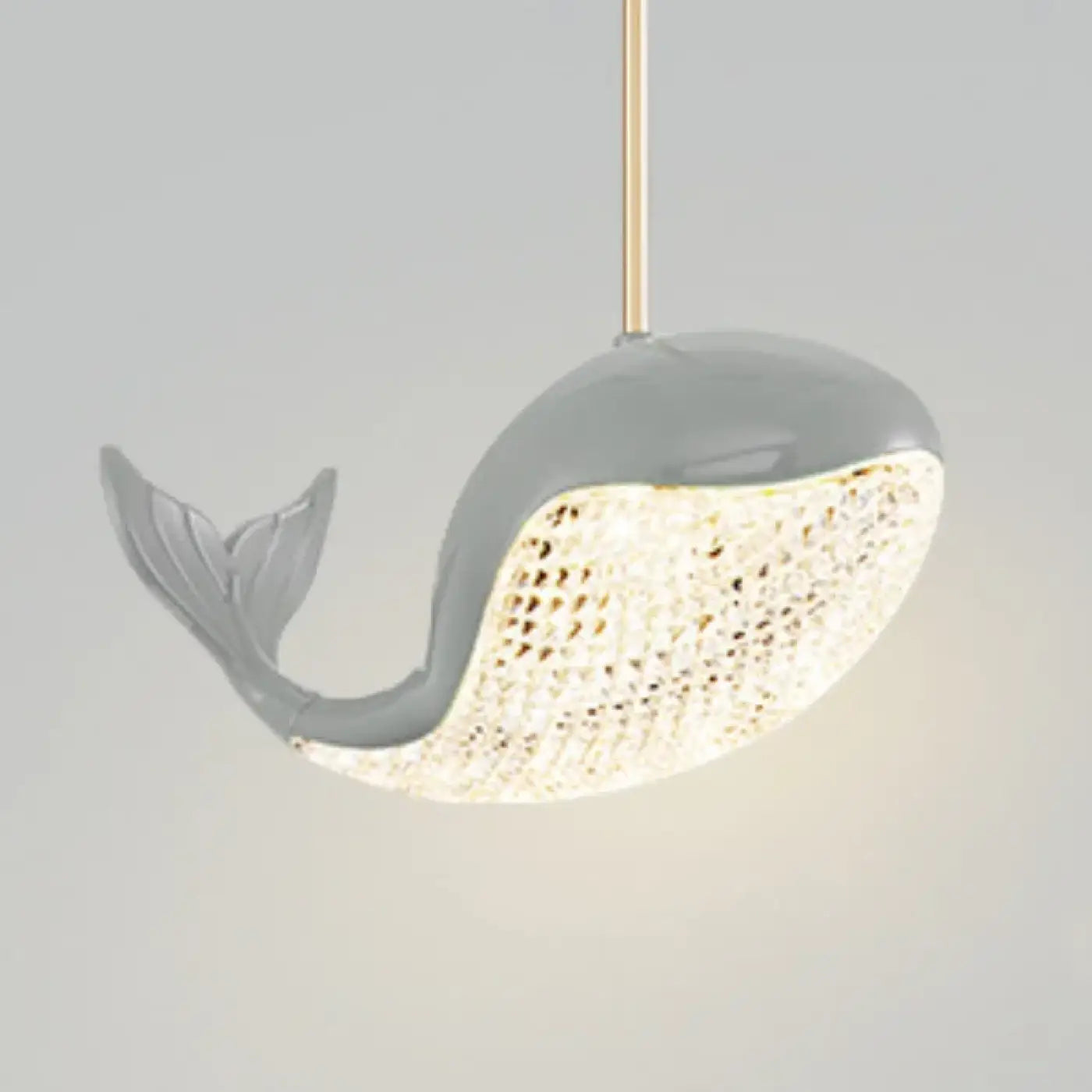 Suspension Luminaire - Aquara