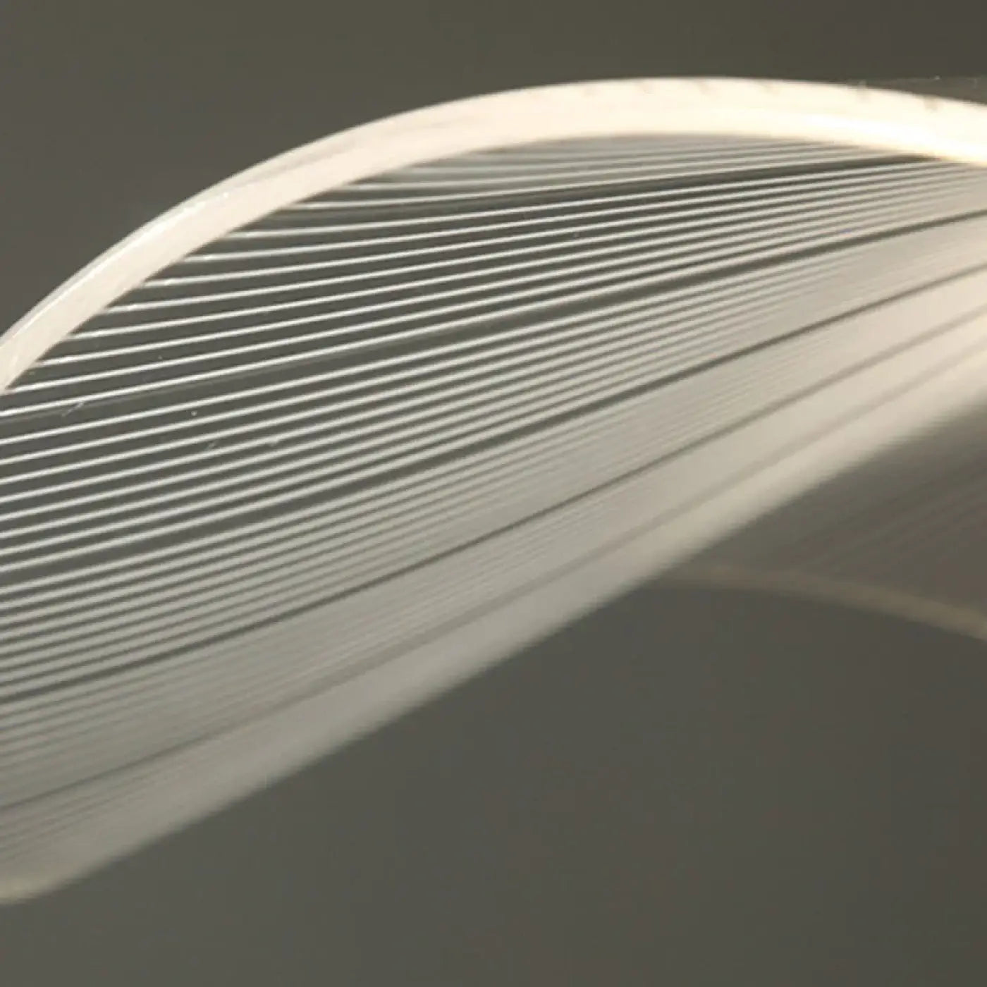 Suspension Luminaire - Lotus