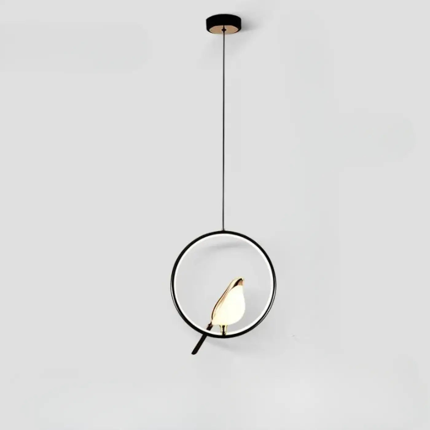 Suspension Luminaire Design - Fody