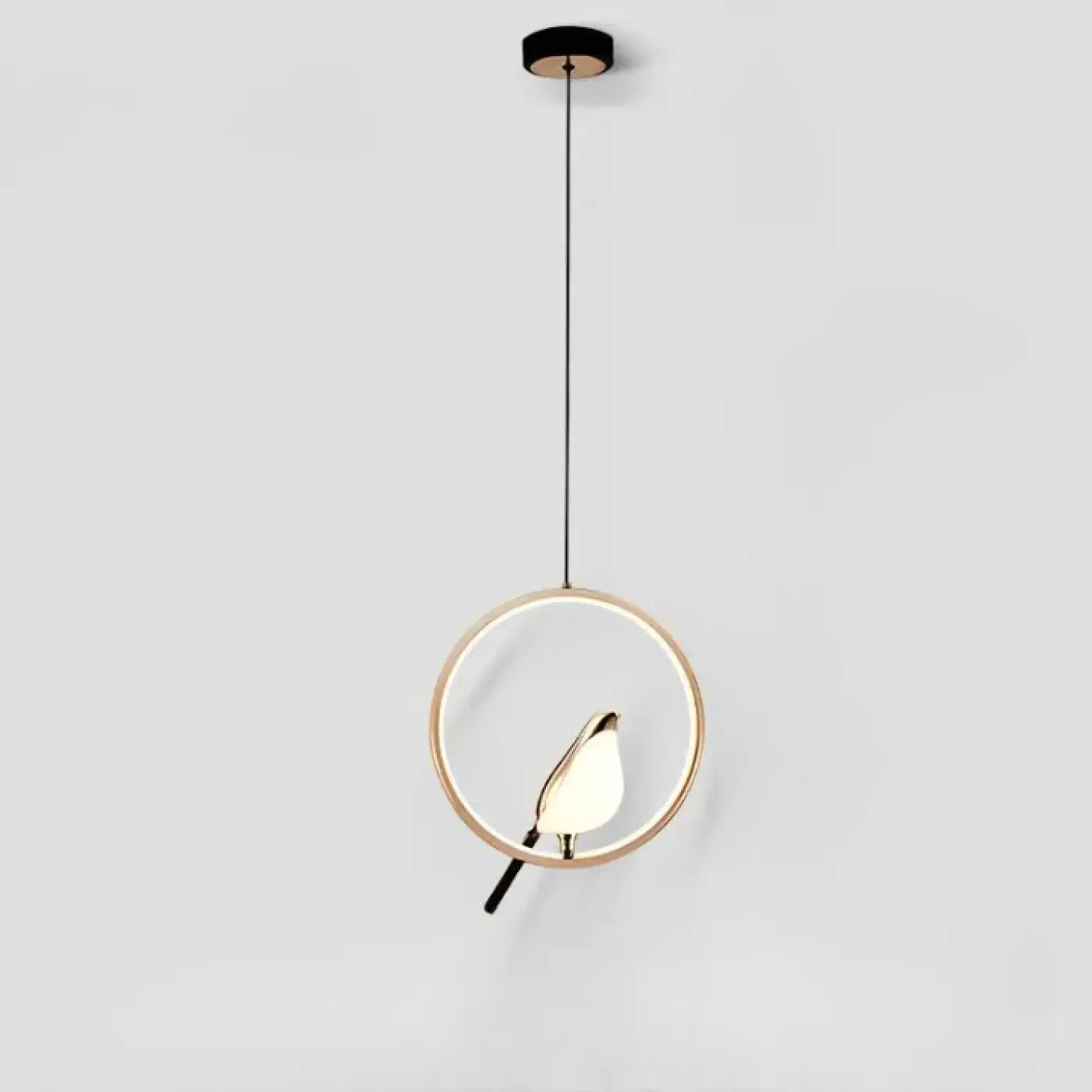Suspension Luminaire Design - Fody