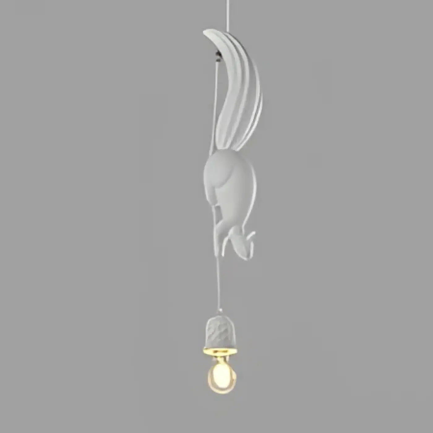 Suspension Luminaire - Ecu