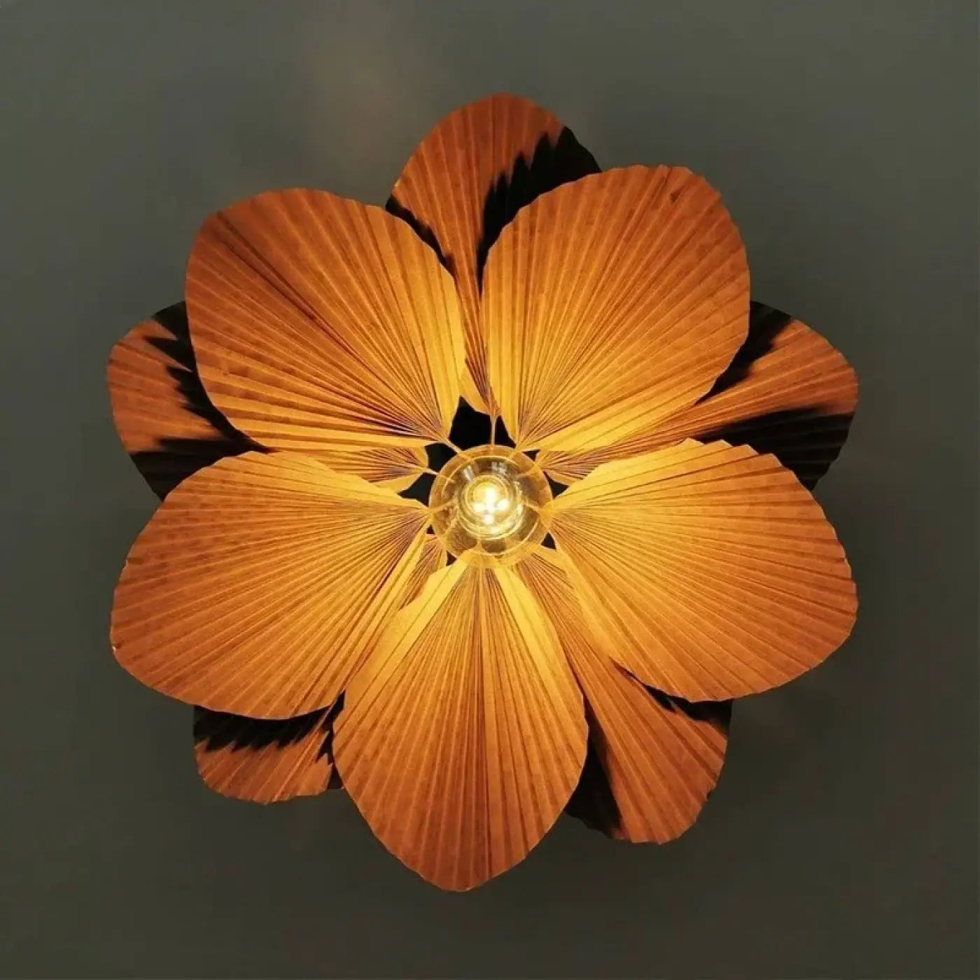 Suspension Luminaire - Marro