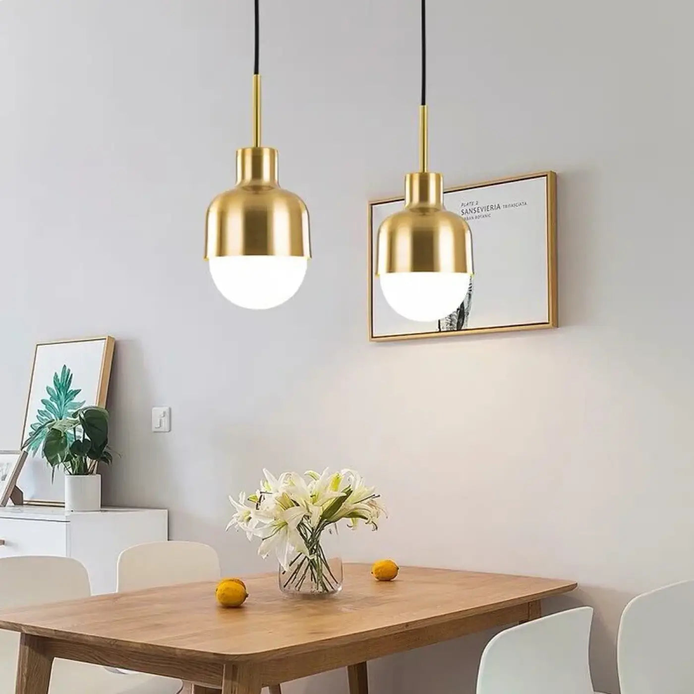 Suspension Luminaire Minimaliste - Nova