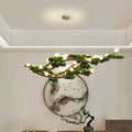 Suspension Luminaire Moderne - Bonsai