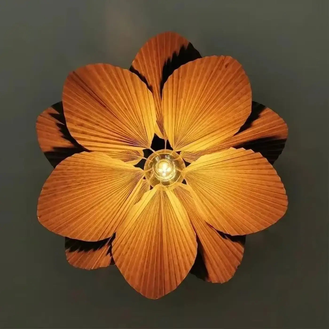 Suspension Luminaire Moderne - Petamo