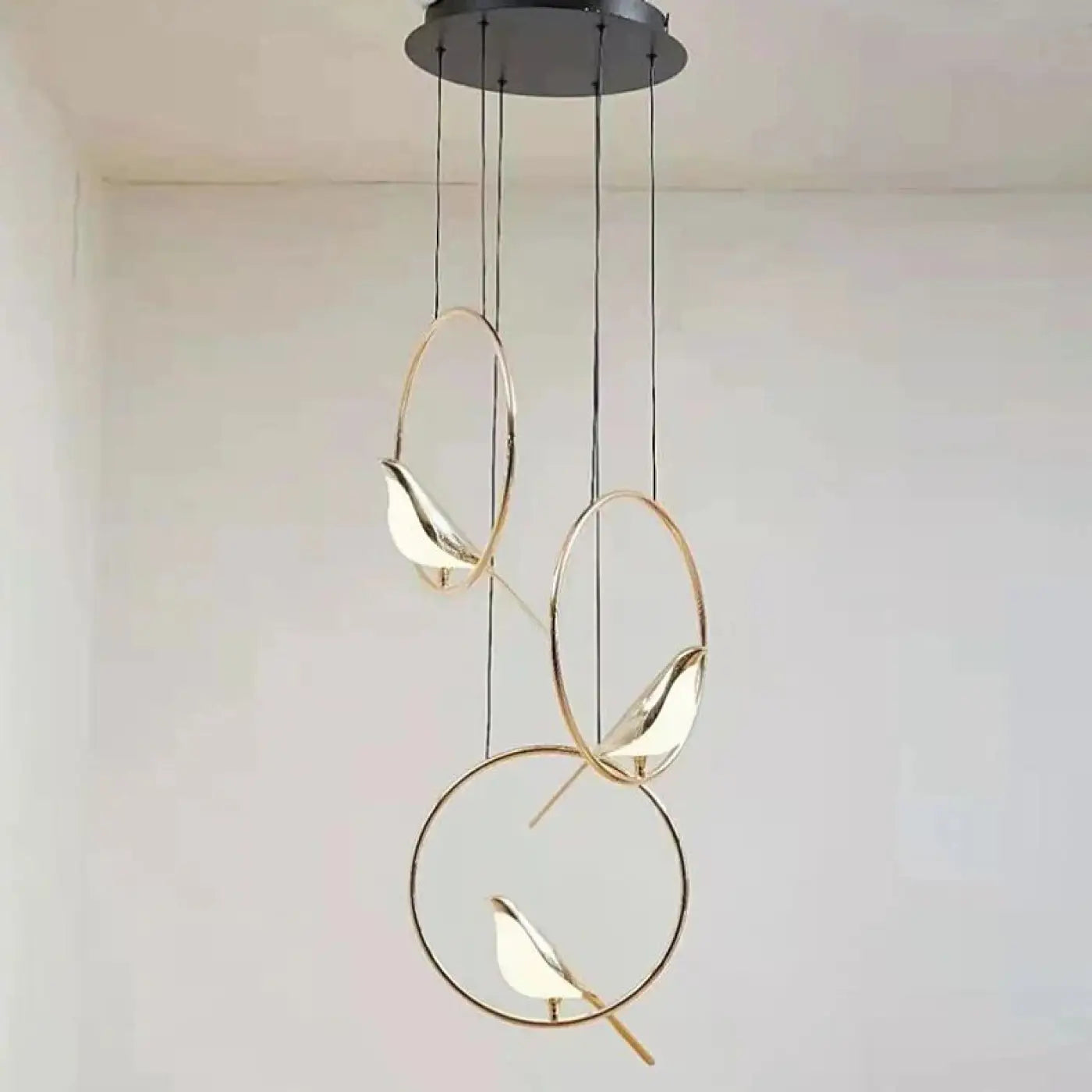 Suspension Luminaire Design - Gufa
