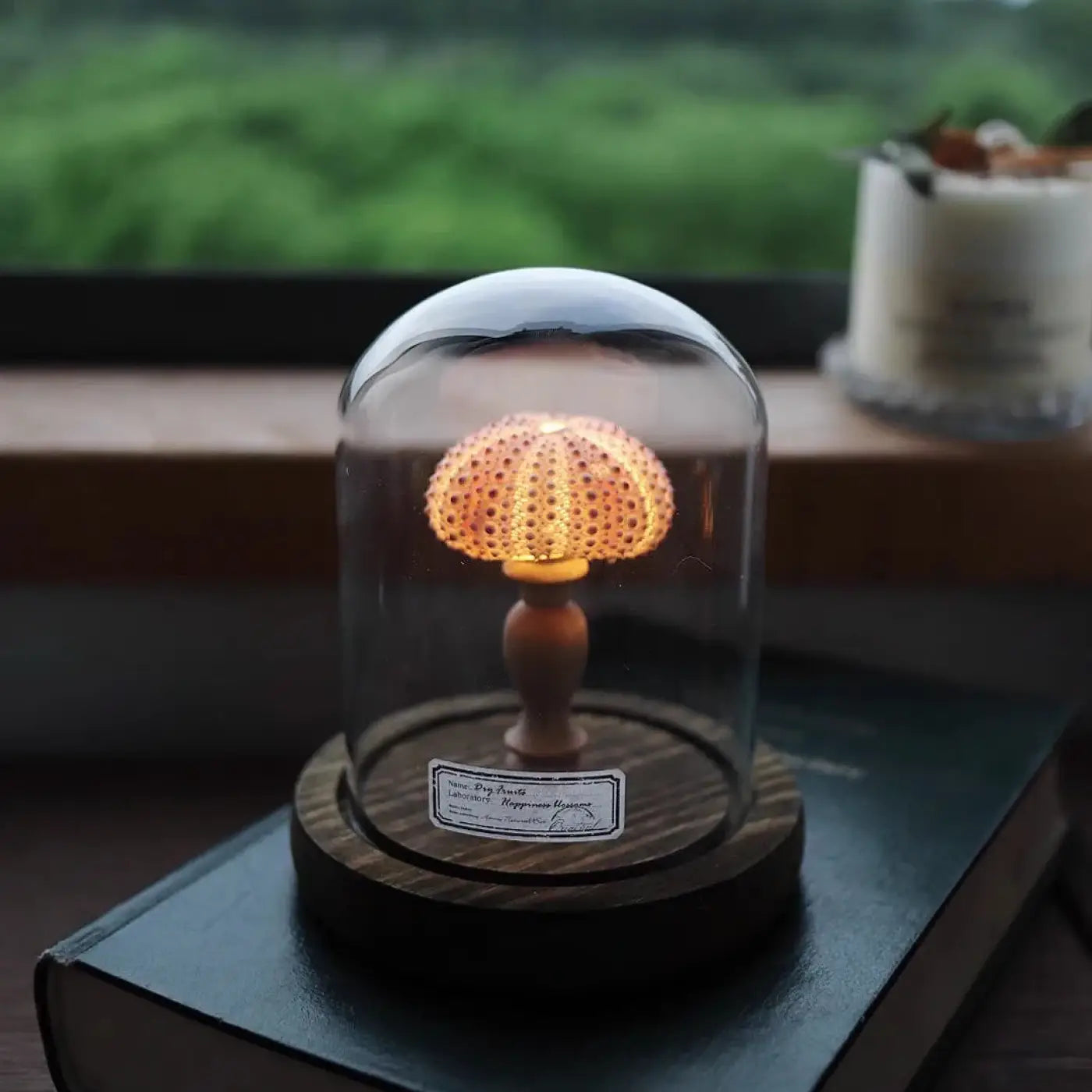 Veilleuse en Verre - Marina