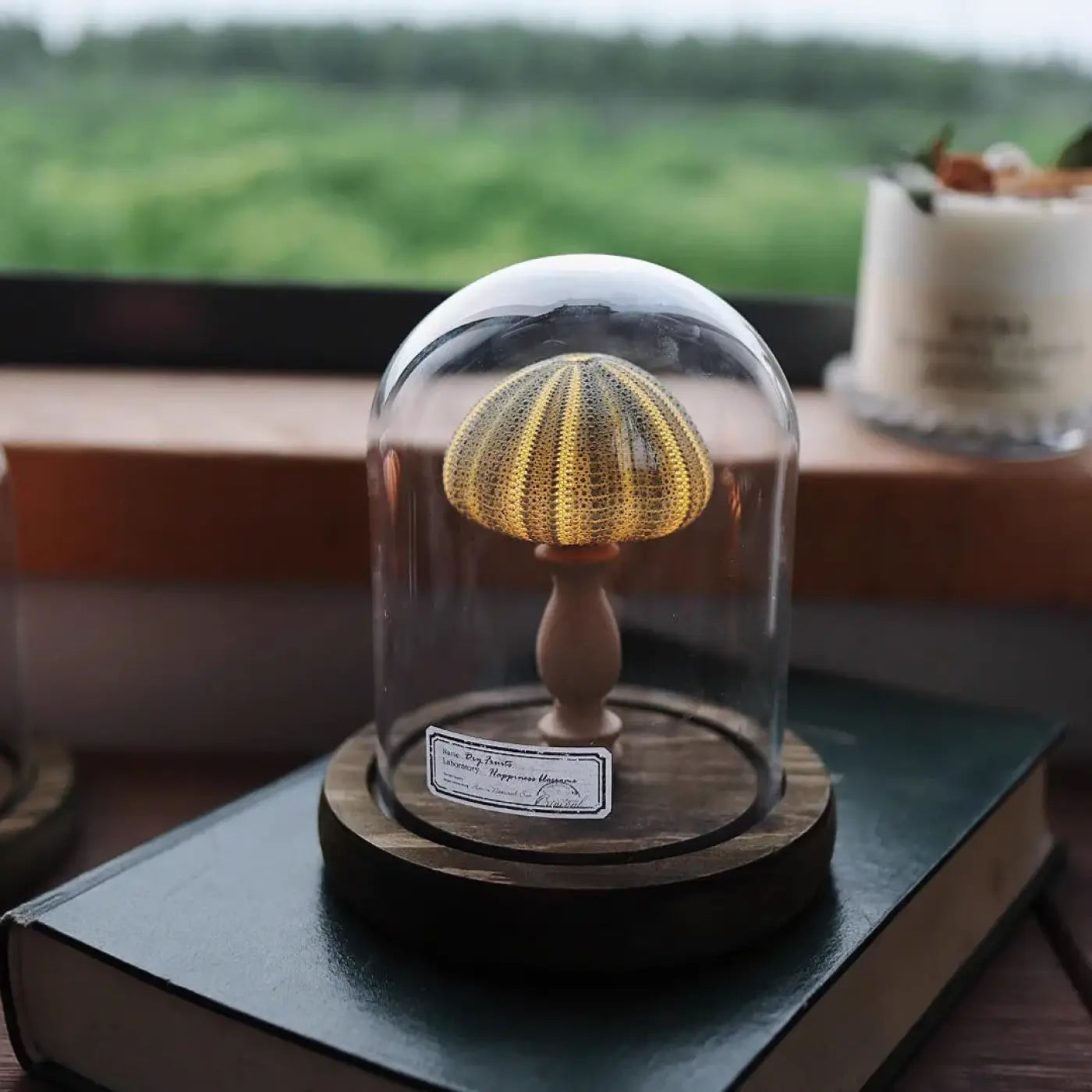 Veilleuse en Verre - Marina