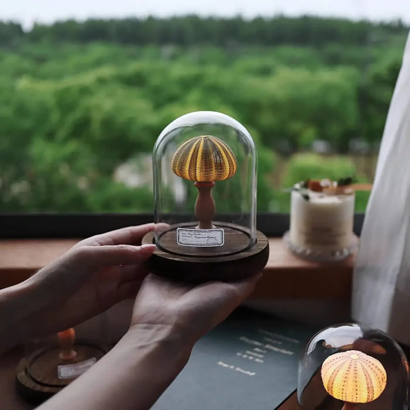 Veilleuse en Verre - Marina