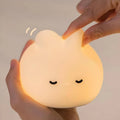 Veilleuse - Doudou