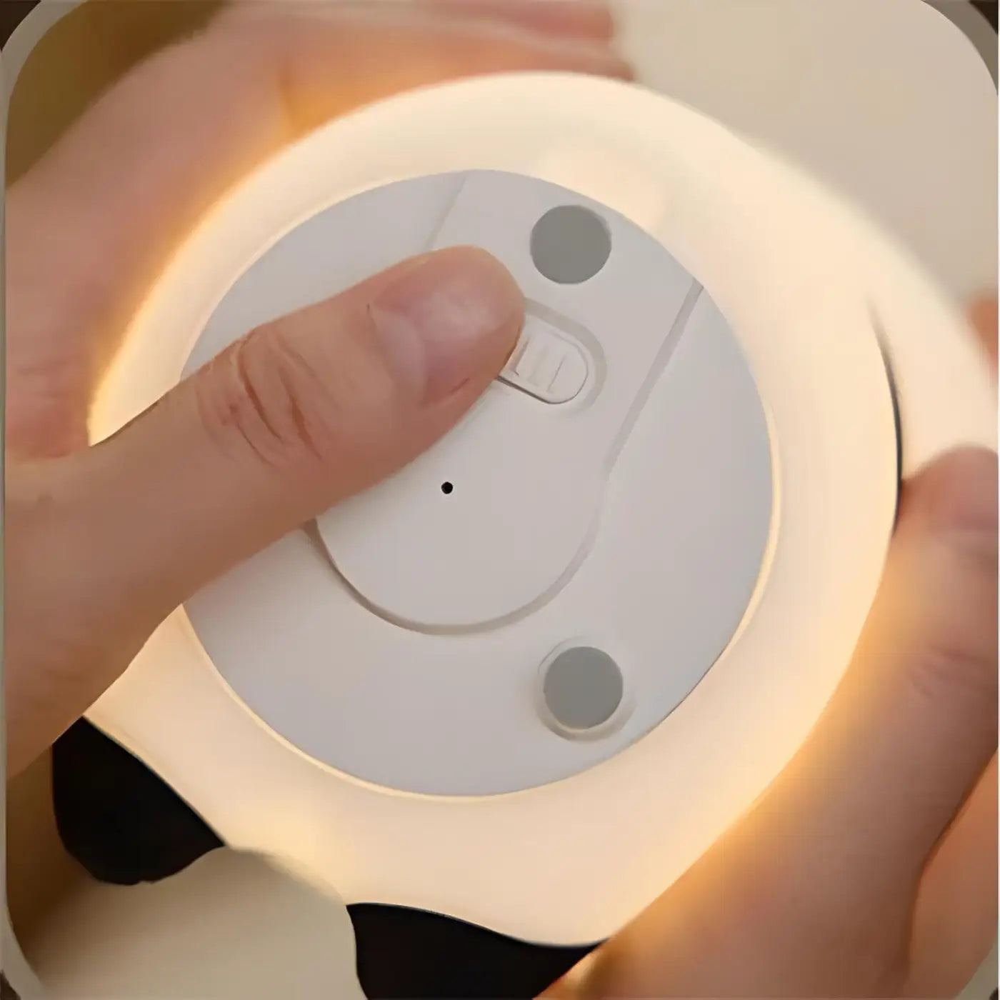 Veilleuse - Pandy